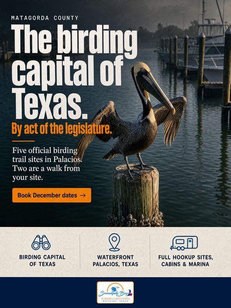 The birding capital of Texas