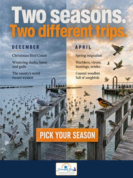 Two seasons, two different trips