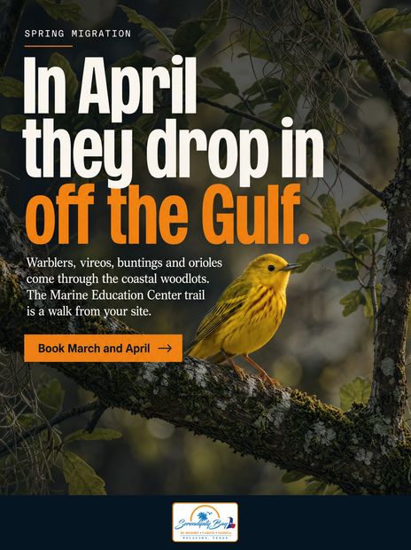 In April they drop in off the Gulf