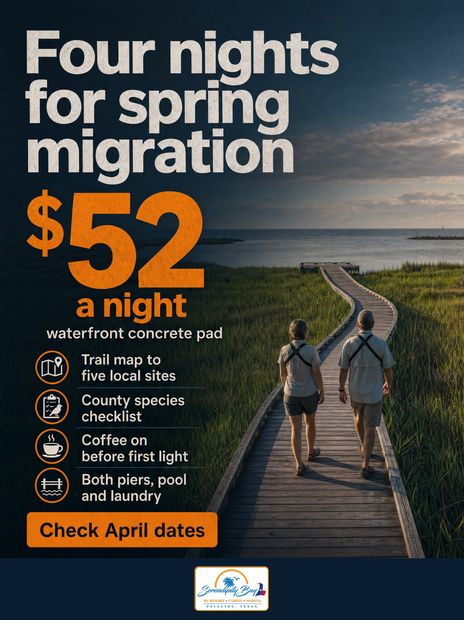 Four nights for spring migration